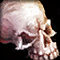 WoW Classic Skull Icon
