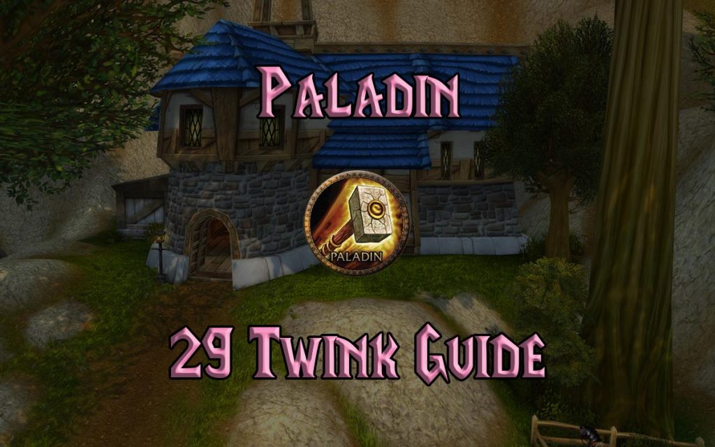 Wow Classic Level 29 Twink Paladin Guide