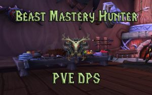 WOW Classic Pve Beast Mastery Hunter Guide