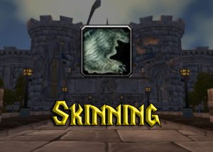 WoW Classic Skinning Guide 1-300