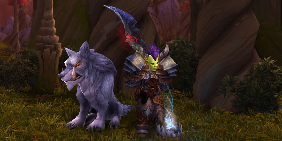 Legion Beastmaster Hunter