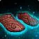 slippers of leavened station
