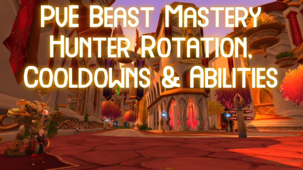 PvE Hunter TBC rotation, cooldowns, abilities