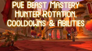 PvE Hunter TBC rotation, cooldowns, abilities