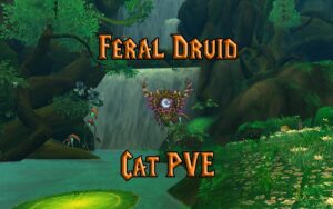 PVE Feral Druid DPS Guide WotLK 3.3.5a