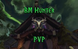 PVP Beast Mastery Hunter Guide WotLK 3.3.5a