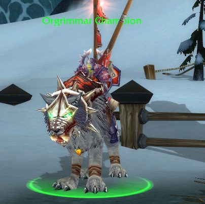 champion to challenge for among the champions wotlk