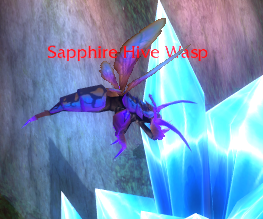 sapphire hive wasp for rejek first blood frenzy heart daily quests wotlk