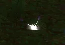site of sparkling treasure for appeasing the great rain stone wotlk oracle dailies