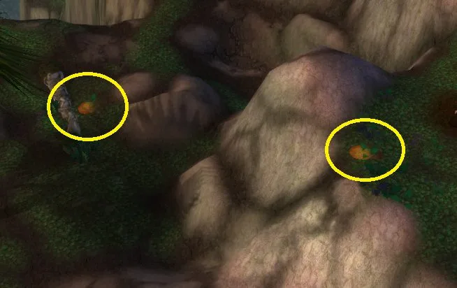 soaked fertile dirt for song of fecundity quest wotlk oracles dailies