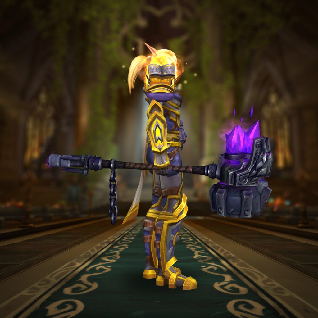 paladin holy watchers armament purple