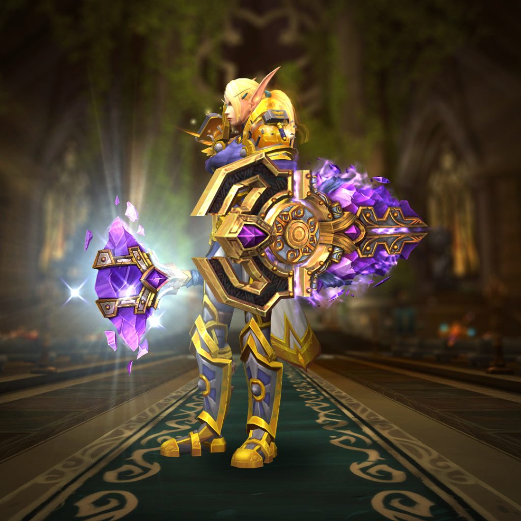 paladin protection vindicators bulwark purple