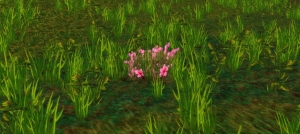 cataclysm classic herbalism mageroyal, briarthorn, bruiseweed farming guide