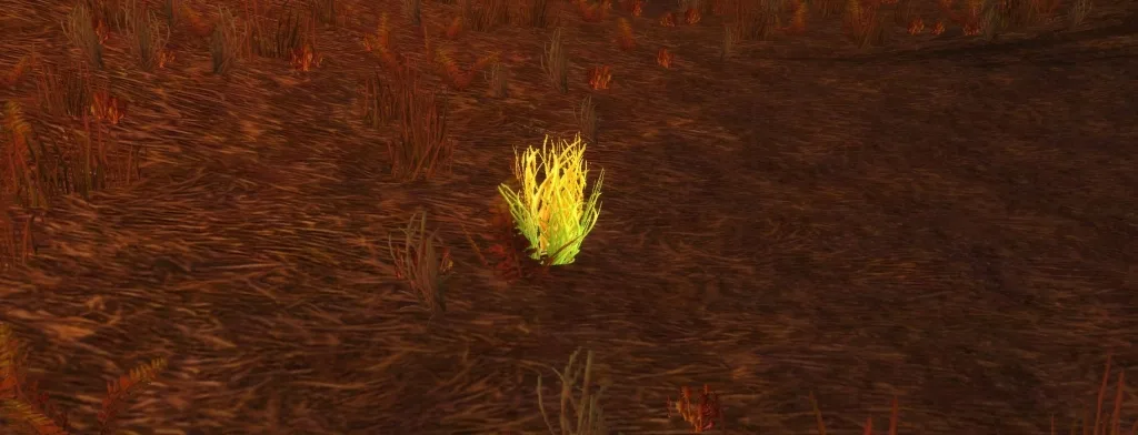cataclysm classic herbalism sungrass farming guide
