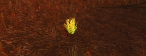 cataclysm classic herbalism sungrass farming guide