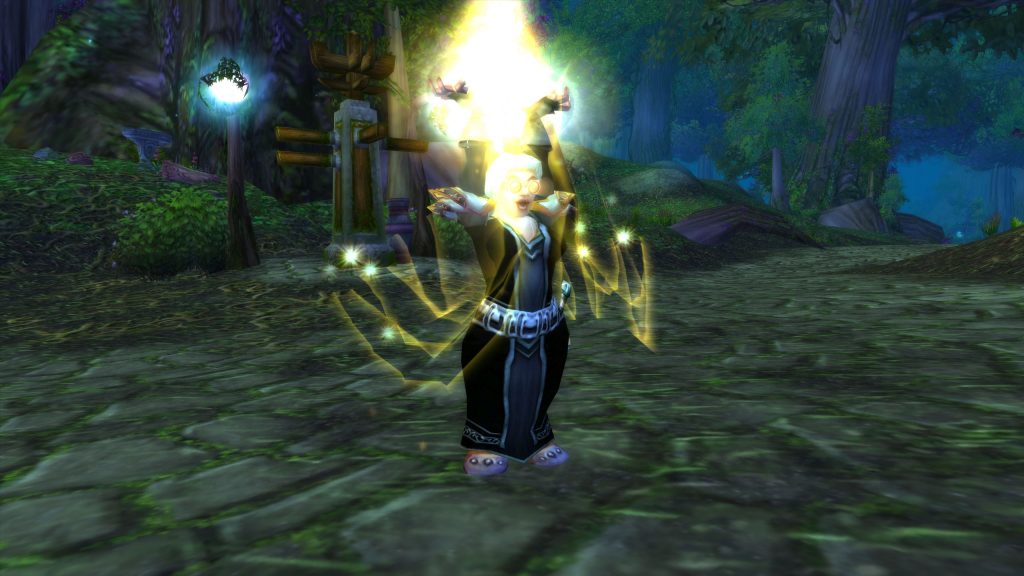 paladin healer (2)