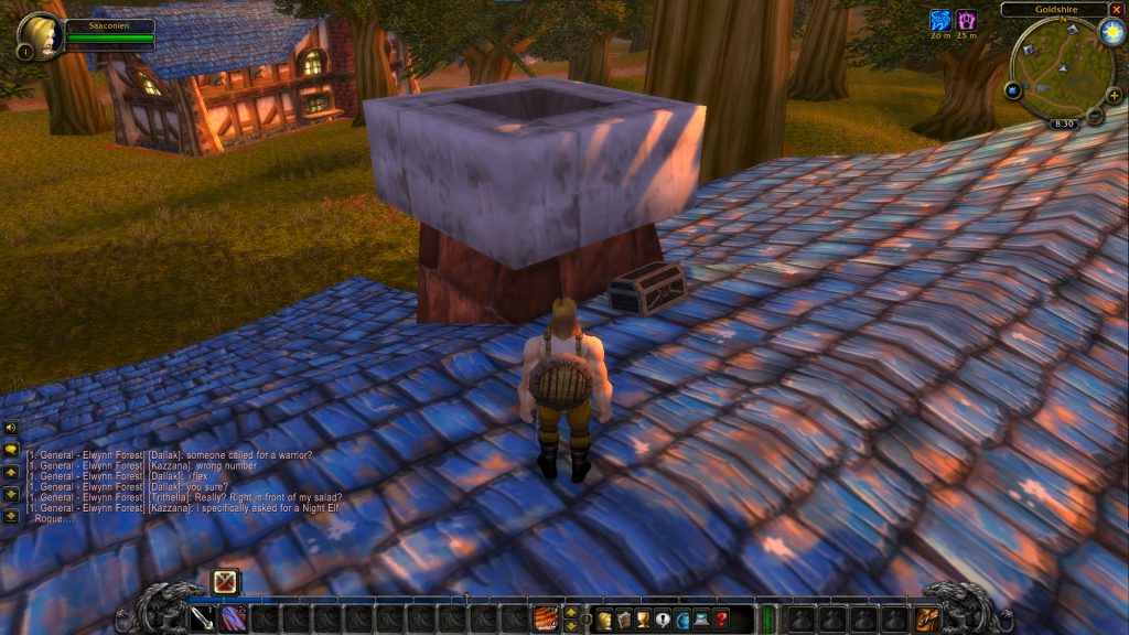 chest on roof slaughter from the shadows rune elwynn forest human sod rogue rune wow