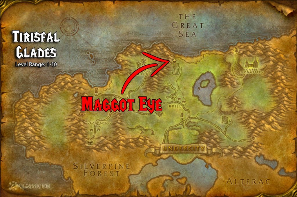 maggot eye location