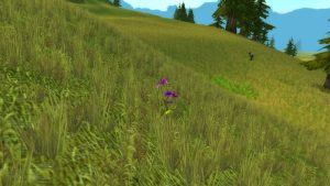 season of discovery living seed druid rune prairie flower